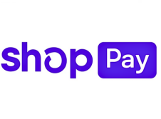 Payment Icon